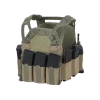 Direct Action HELLCAT LOW VIS PLATE CARRIER - Adaptive Green